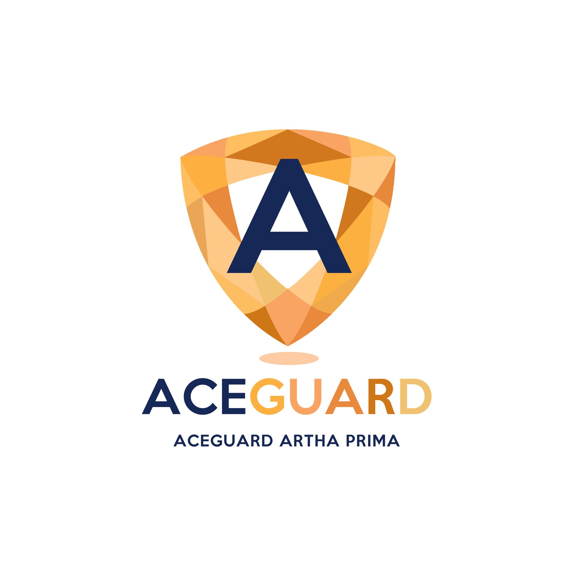 AceGuard CCTV